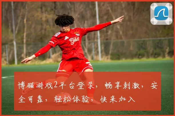 博猫游戏2平台登录，畅享刺激，安全可靠，轻松体验，快来加入