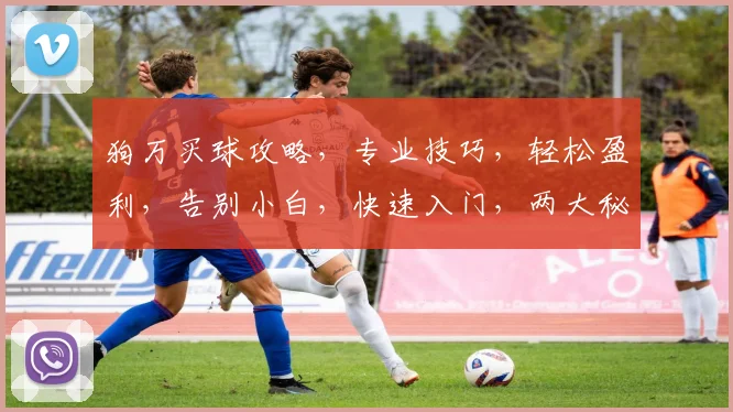 狗万买球攻略，专业技巧，轻松盈利，告别小白，快速入门，两大秘诀助你成功
