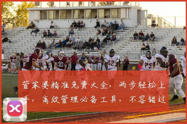管家婆精准免费大全，两步轻松上手，高效管理必备工具，不容错过