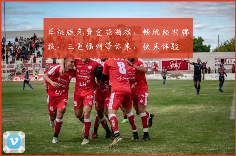 单机版免费金花游戏，畅玩经典牌技，三重福利等你来，快来体验